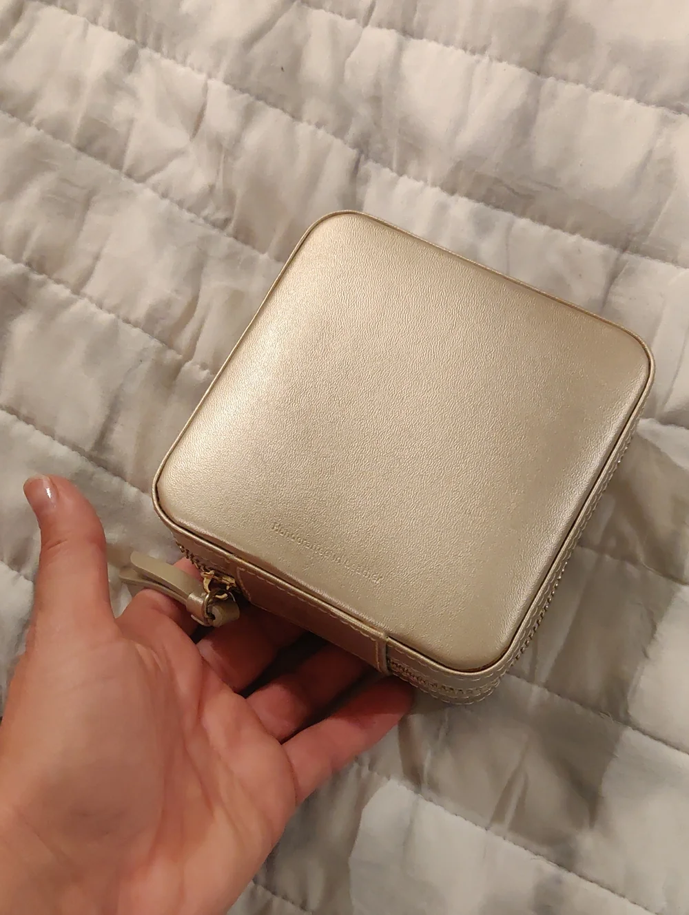 Wolf Leather Travel Zip Jewelry Case Italy Champagne Mirror Luxury Y2K Cottageco